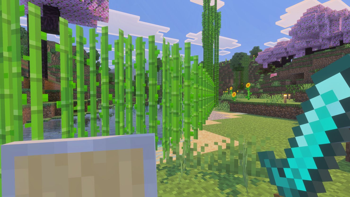 Sugar cane planted in sand by the water