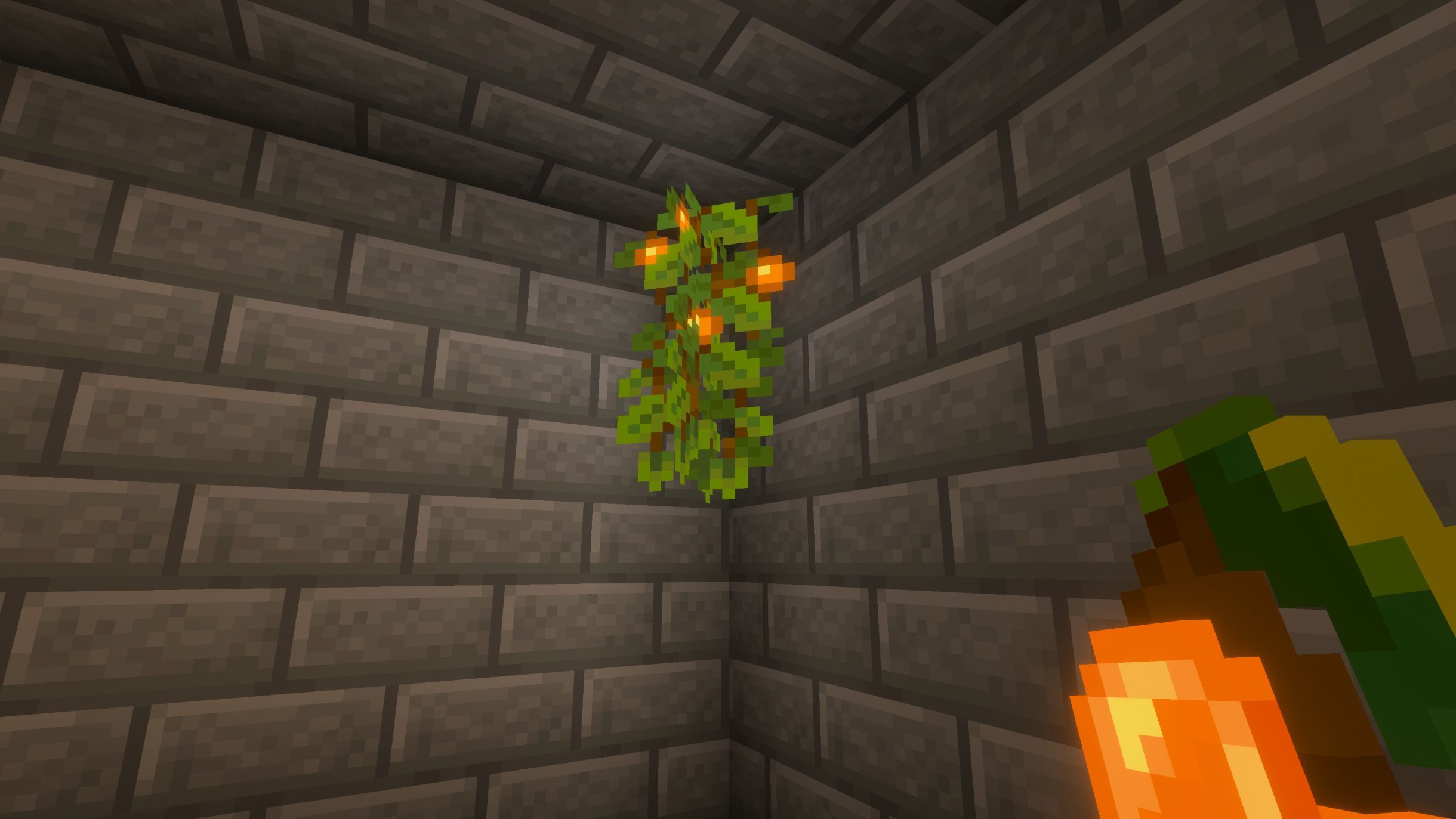 Glow Berries lighting a room