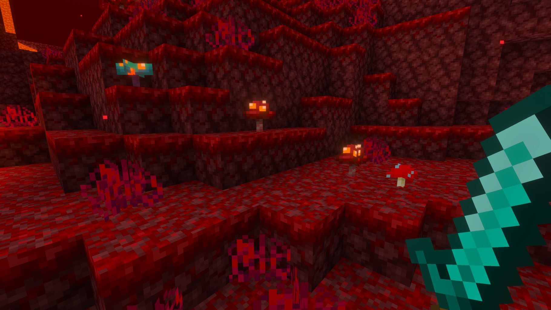 Crimson and Warped fungi