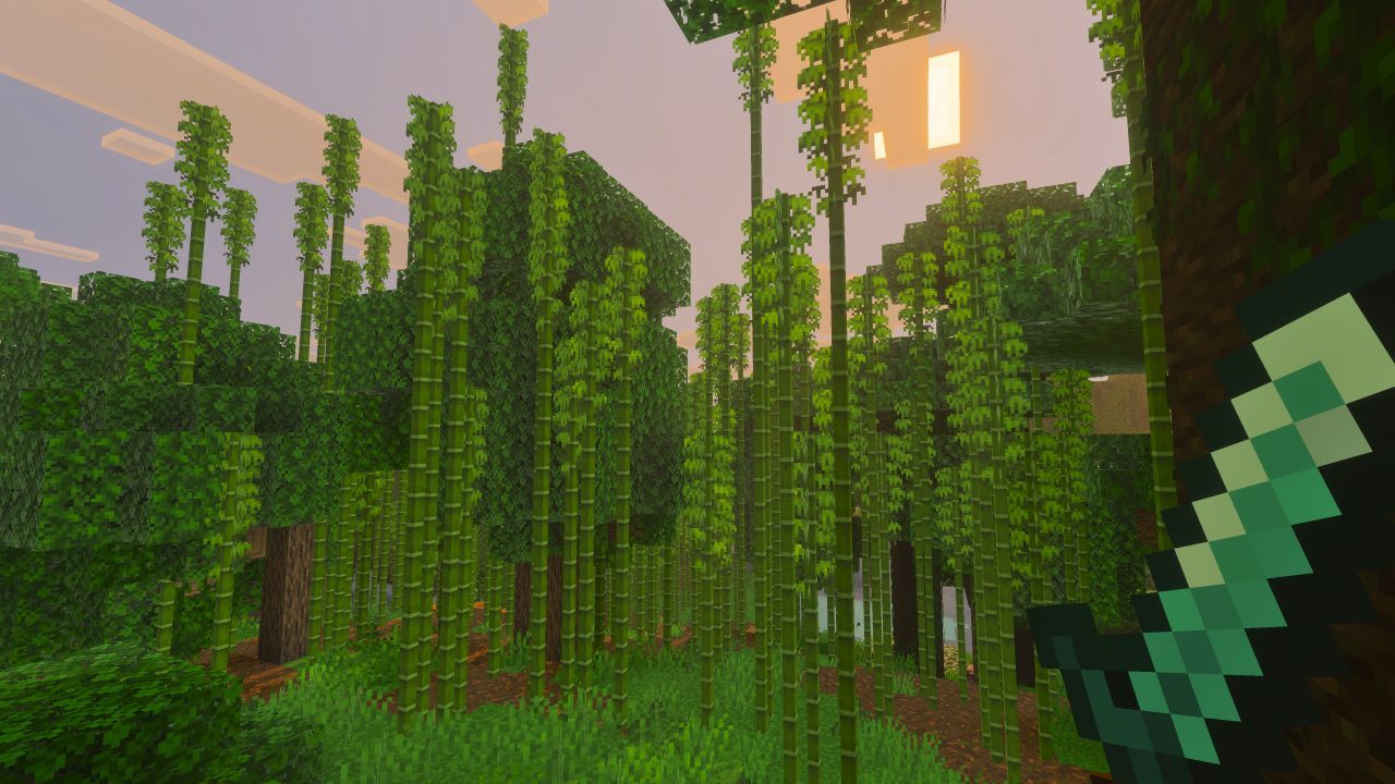 Bamboo in the jungle