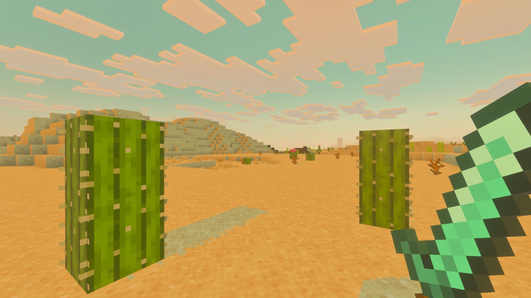 Cacti in the desert