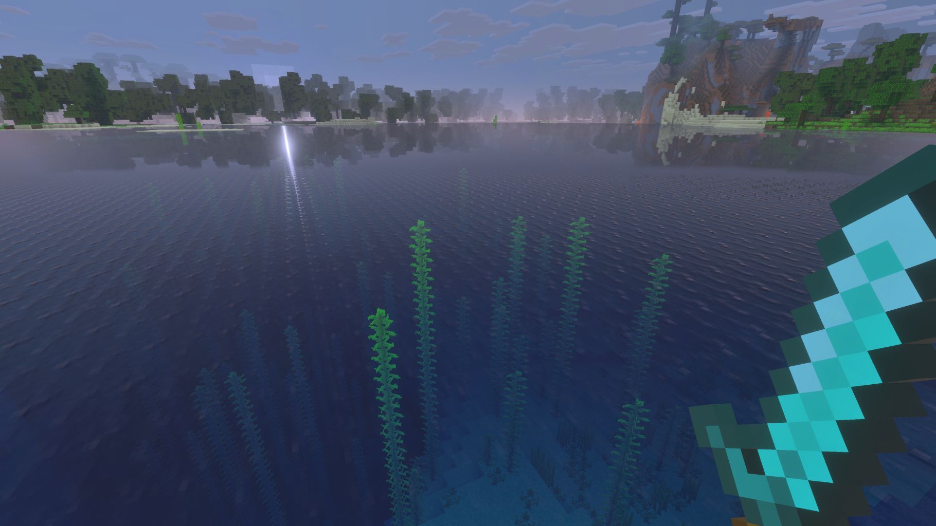 Kelp in the ocean