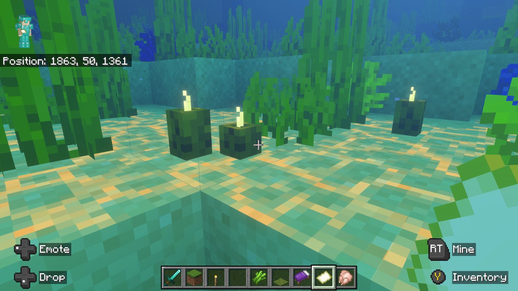 Sea Pickles