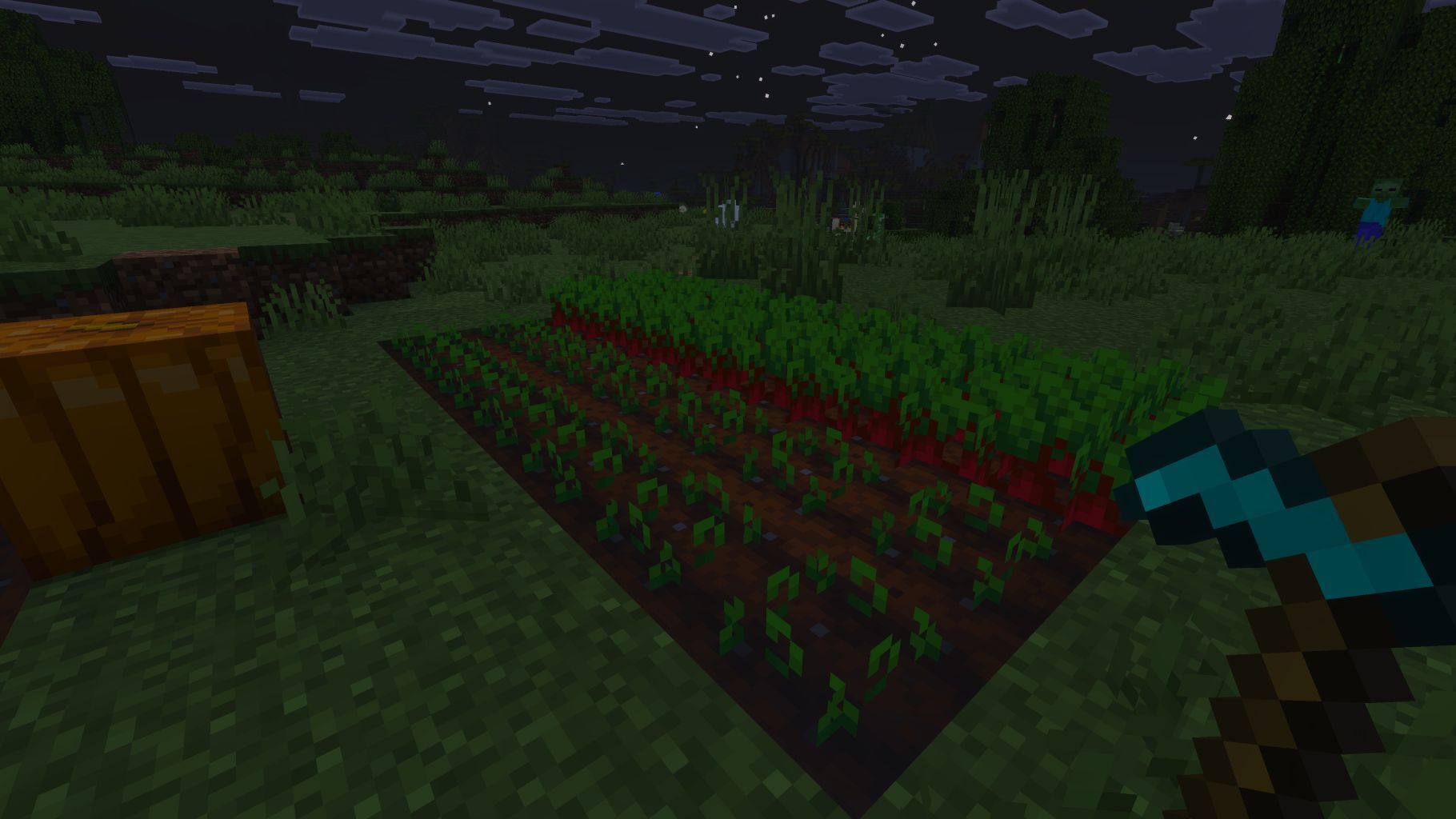 Faming Beetroot