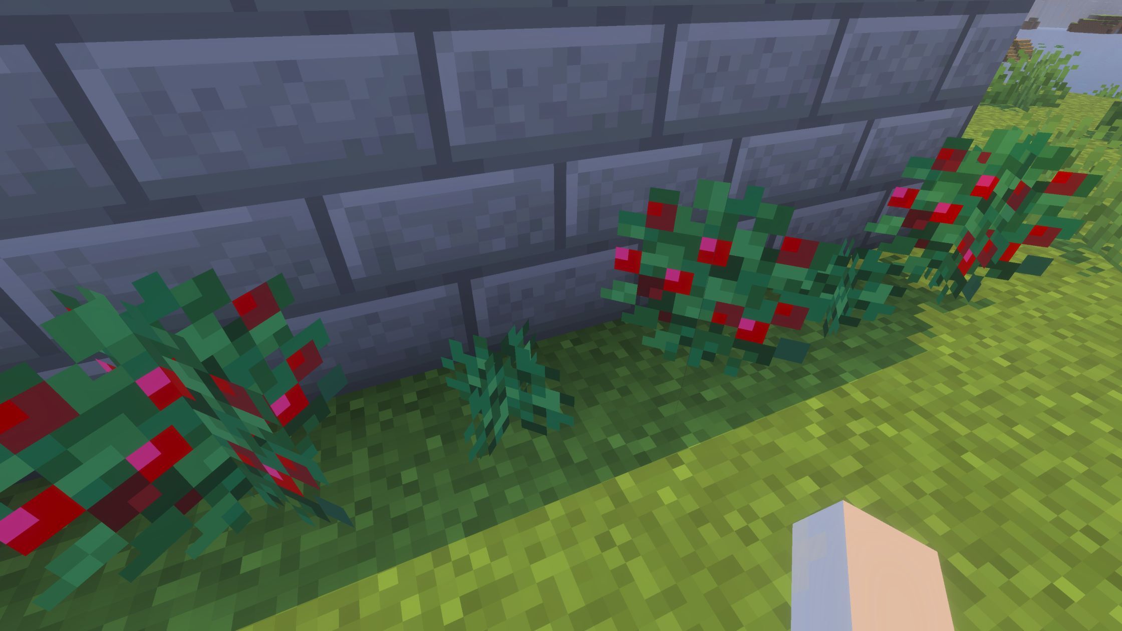 Sweet Berries