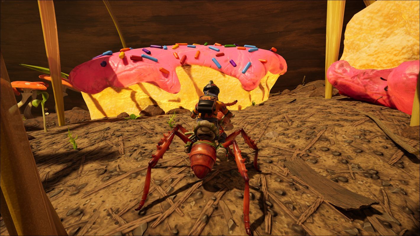 Exploring the map on a buggy