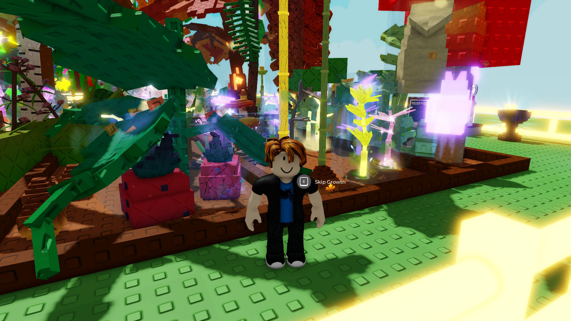 The plots at the back of this garden were expanded into with the help of a few million sheckles, giving more room for bigger plants.